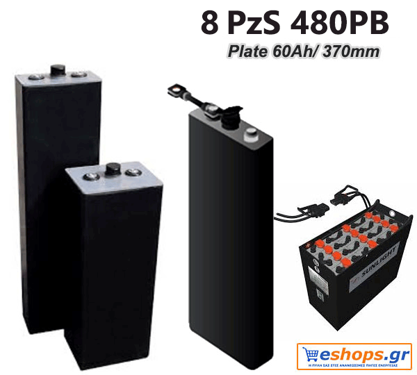 8-pzs-480-pb.gif