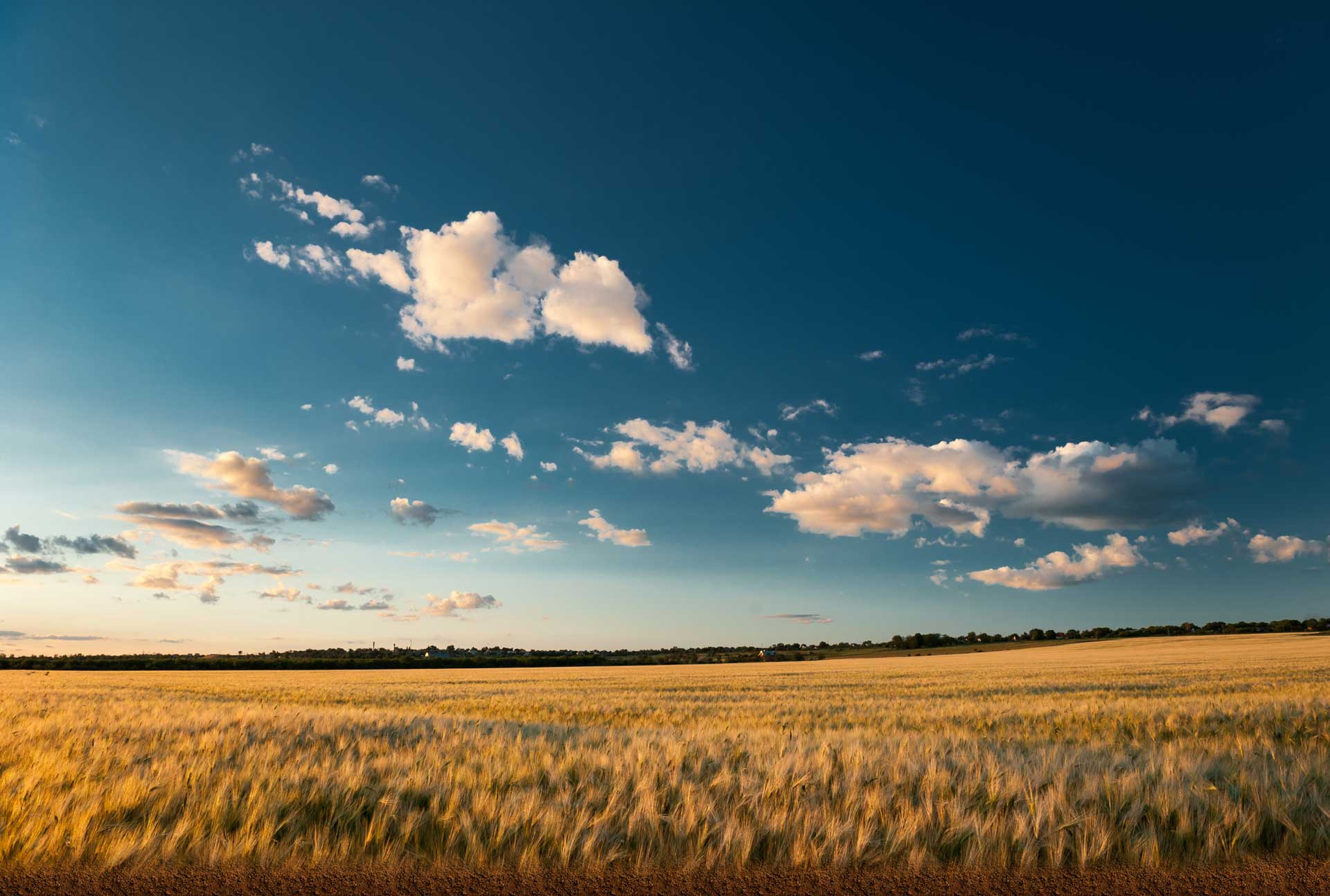 5 Ways to Live an Organic Lifestyle