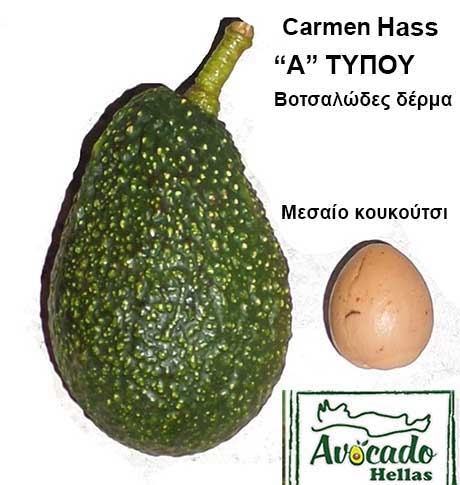 This image has an empty alt attribute; its file name is carmen-hass-πρασ.jpg