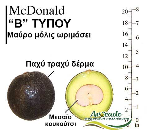 McDonald, ΑΒΟΚΑΝΤΟ ΚΑΛΛΙΕΡΓΙΑ, ΚΑΛΛΙΕΡΓΕΙΑ ΤΙMH ΑΓΟΡΑ, ΔΕΝΤΡΟ / ΔΕΝΔΡΟ ΦΥΤΟ, Ελλάδα, Κρήτη, Χανιά