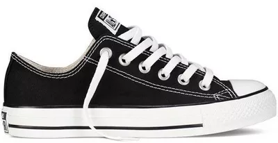 Converse Chuck Taylor All Star Classic M9166C